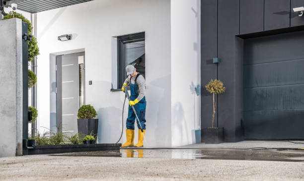 Pre-Holiday Cleaning in Anza, CA